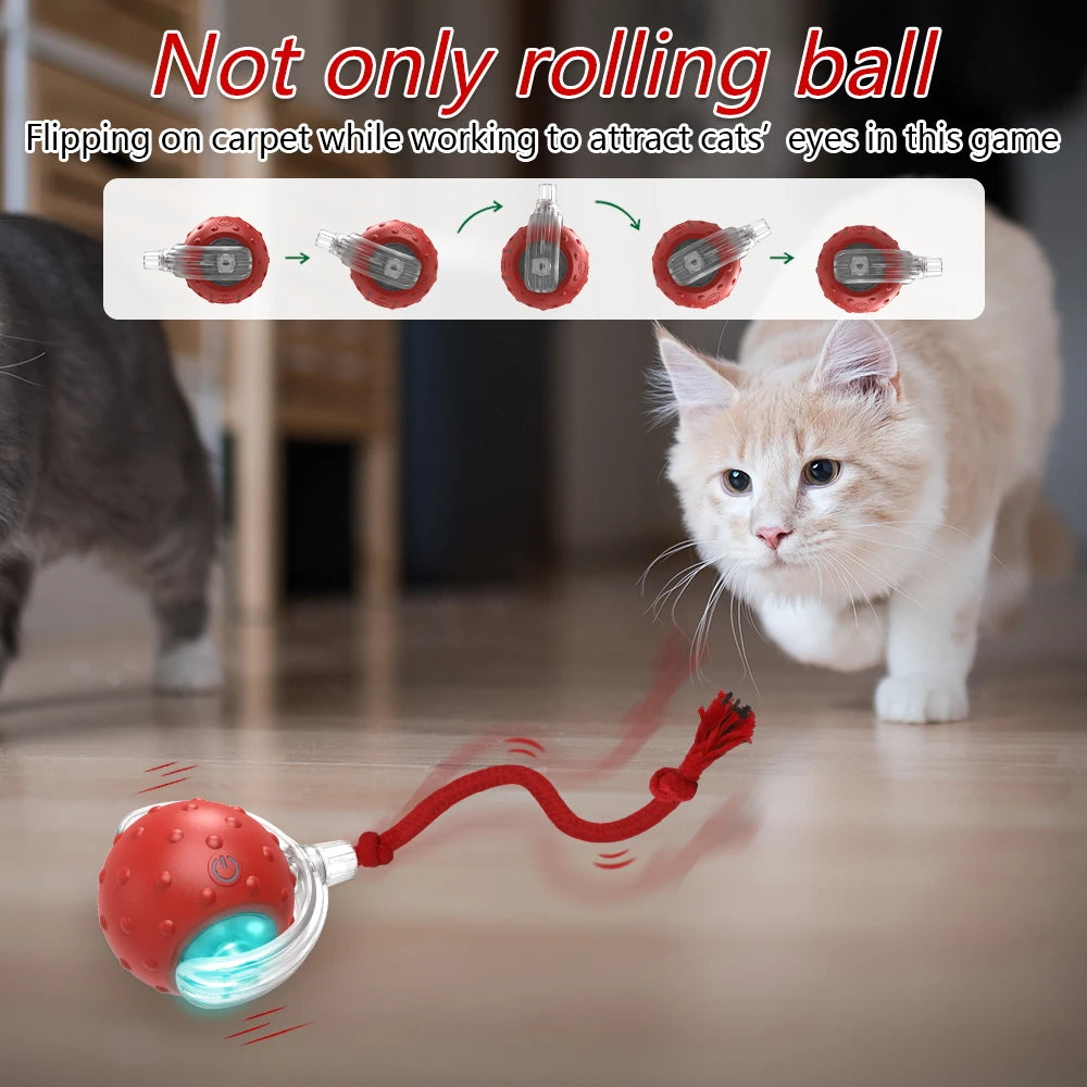 Interactive Cat Toy Ball with Bird Chirping Super Drive Cat Rolling Balls Motion Activated Sensor Pet Kittens Teaser Game Toys