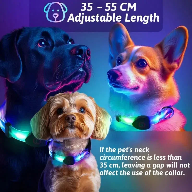 LED Light Up Dog Collar and Leash Walking Safety Glow in The Dark, Three Lighting Modes, USB Rechargeable Dog Colorful LED Leash