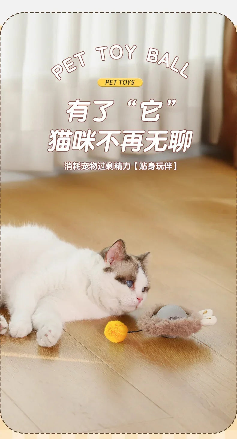 Interactive Rolling Cat Ball Dog Toy Rolling Ball for Indoor 360° Automatic Rolling Pet Ball Self RollingBall Pet Supplies