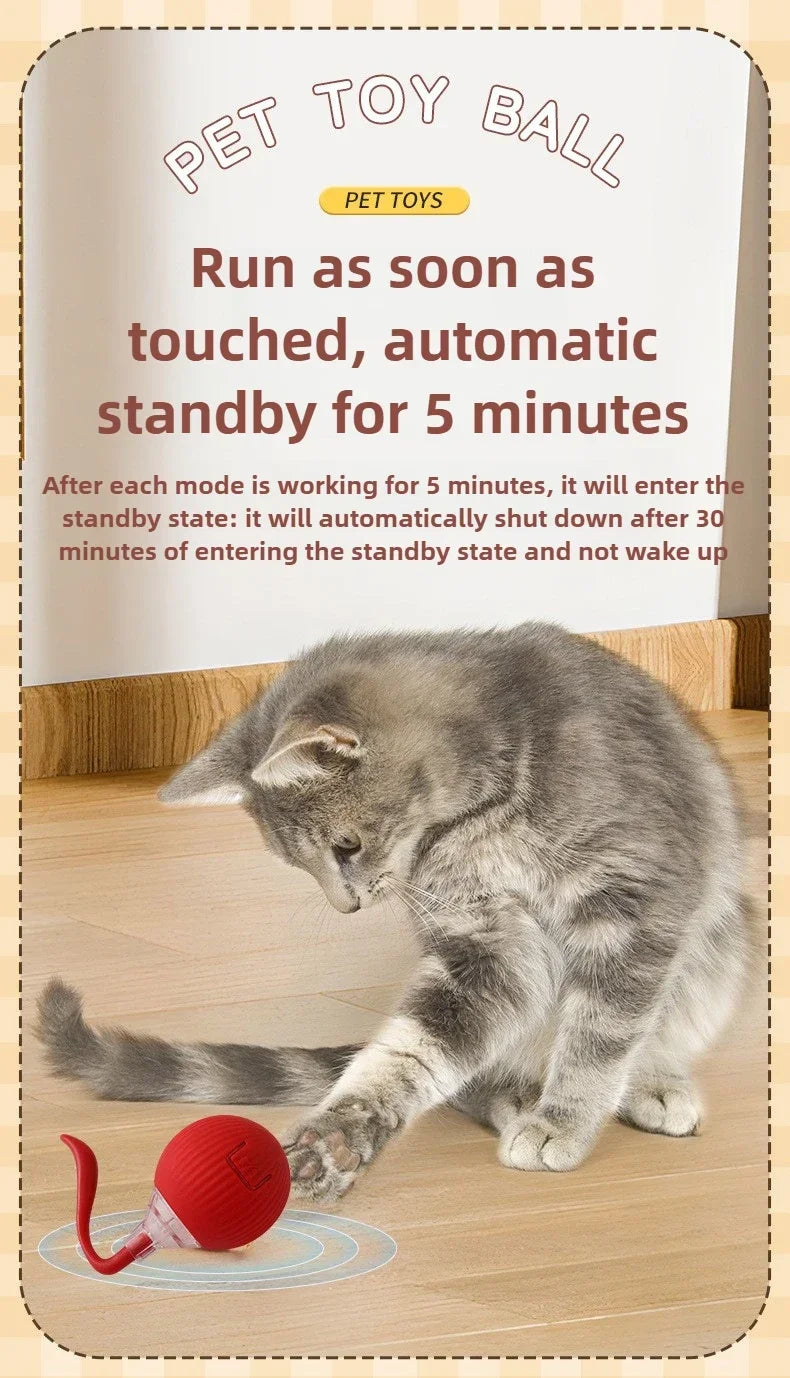 Interactive Rolling Cat Ball Dog Toy Rolling Ball for Indoor 360° Automatic Rolling Pet Ball Self RollingBall Pet Supplies