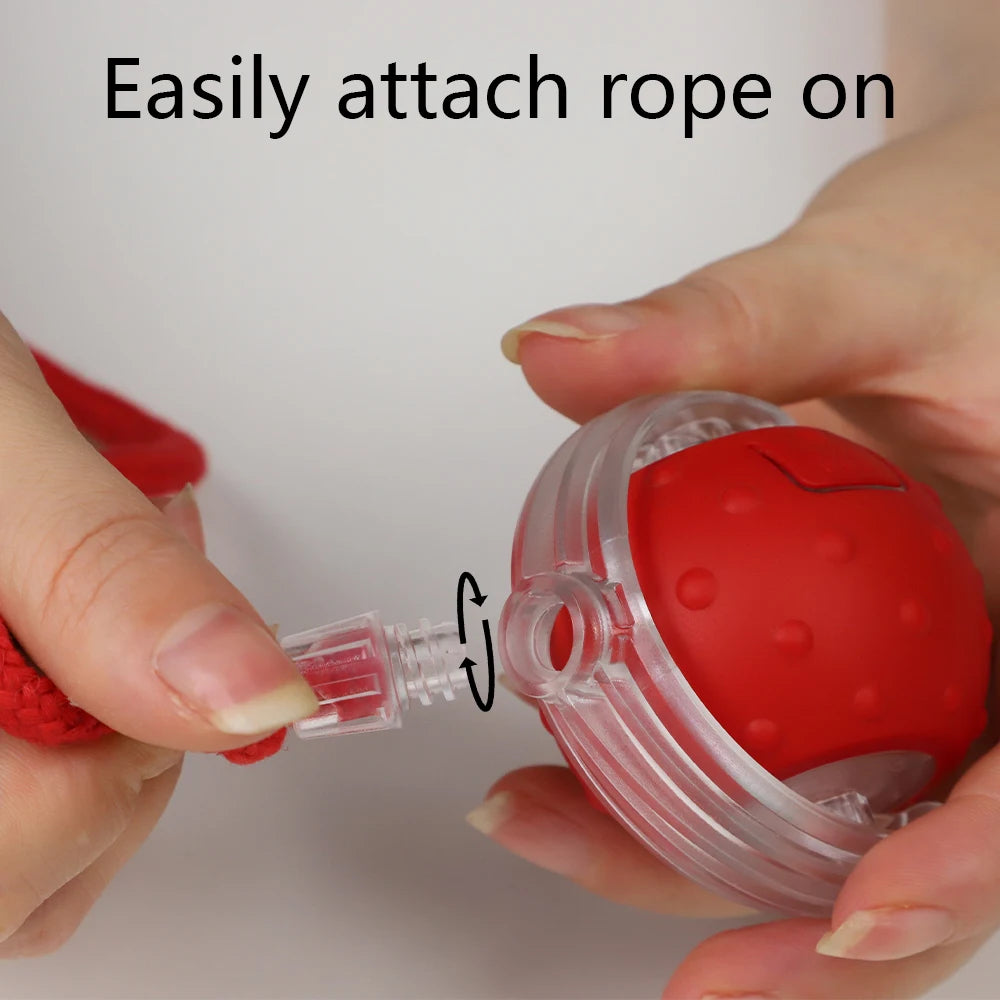 Interactive Cat Toy Ball with Bird Chirping Super Drive Cat Rolling Balls Motion Activated Sensor Pet Kittens Teaser Game Toys