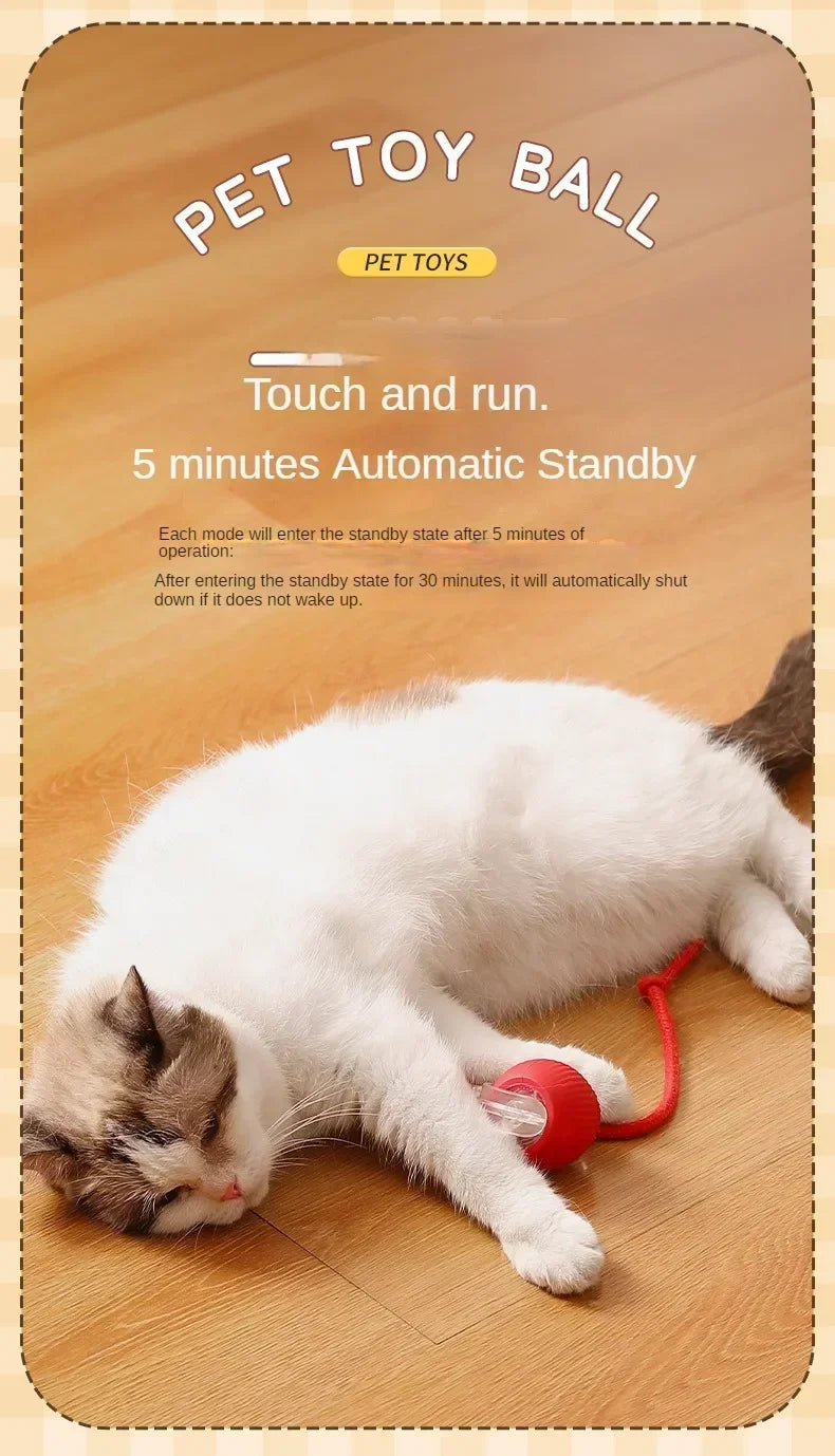 Interactive Rolling Cat Ball Dog Toy Rolling Ball for Indoor 360° Automatic Rolling Pet Ball Self RollingBall Pet Supplies