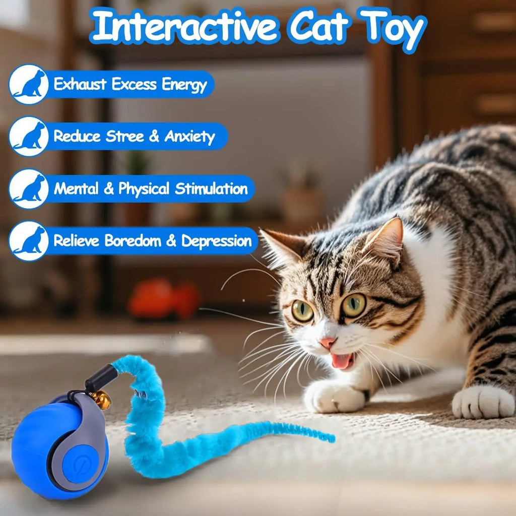 Interactive Cat Toy Ball, Speedy Tail 2.0 Cat Toy, Automatic Moving Cat Toys for Indoor Cats, with Feather Tails, Keep Them Busy