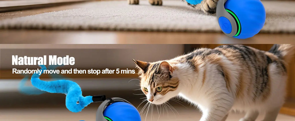 Interactive Cat Toy Ball, Speedy Tail 2.0 Cat Toy, Automatic Moving Cat Toys for Indoor Cats, with Feather Tails, Keep Them Busy