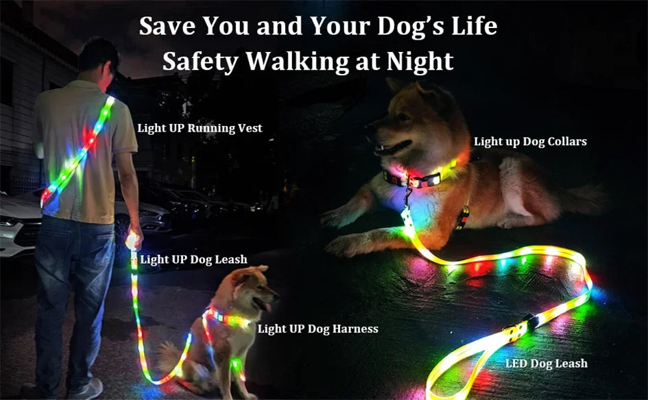 LED Light Up Dog Collar and Leash Walking Safety Glow in The Dark, Three Lighting Modes, USB Rechargeable Dog Colorful LED Leash