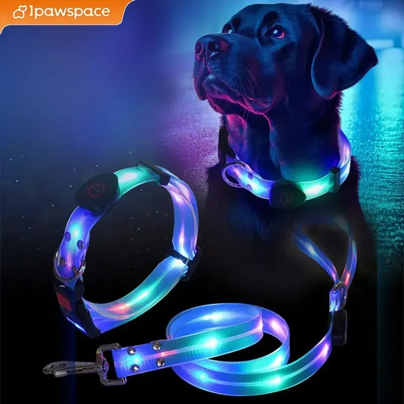 LED Light Up Dog Collar and Leash Walking Safety Glow in The Dark, Three Lighting Modes, USB Rechargeable Dog Colorful LED Leash