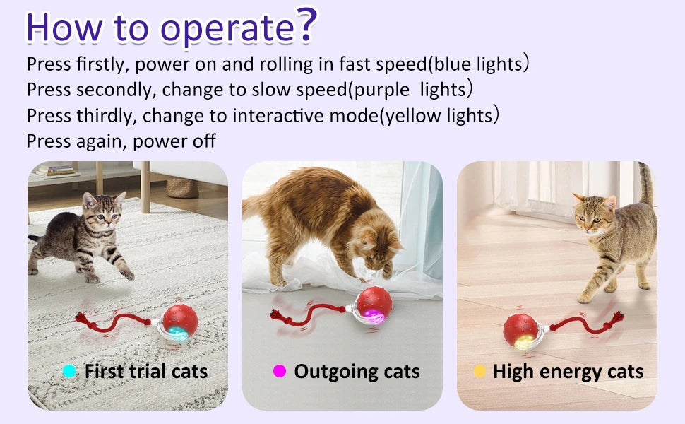 Interactive Cat Toy Ball with Bird Chirping Super Drive Cat Rolling Balls Motion Activated Sensor Pet Kittens Teaser Game Toys