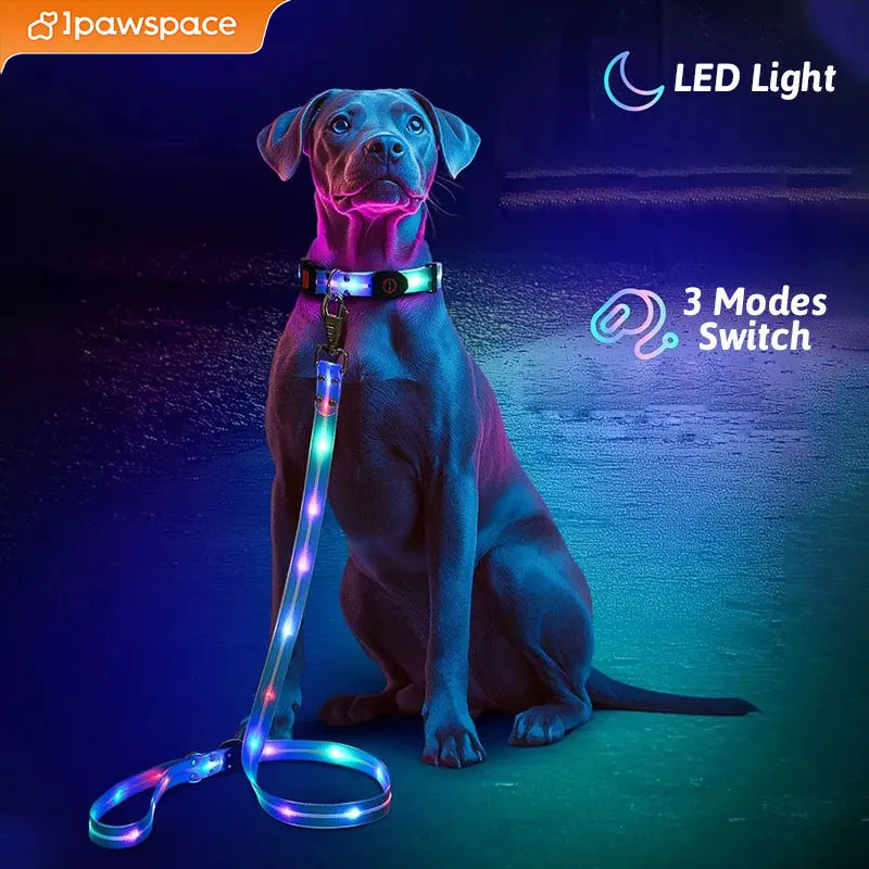LED Light Up Dog Collar and Leash Walking Safety Glow in The Dark, Three Lighting Modes, USB Rechargeable Dog Colorful LED Leash