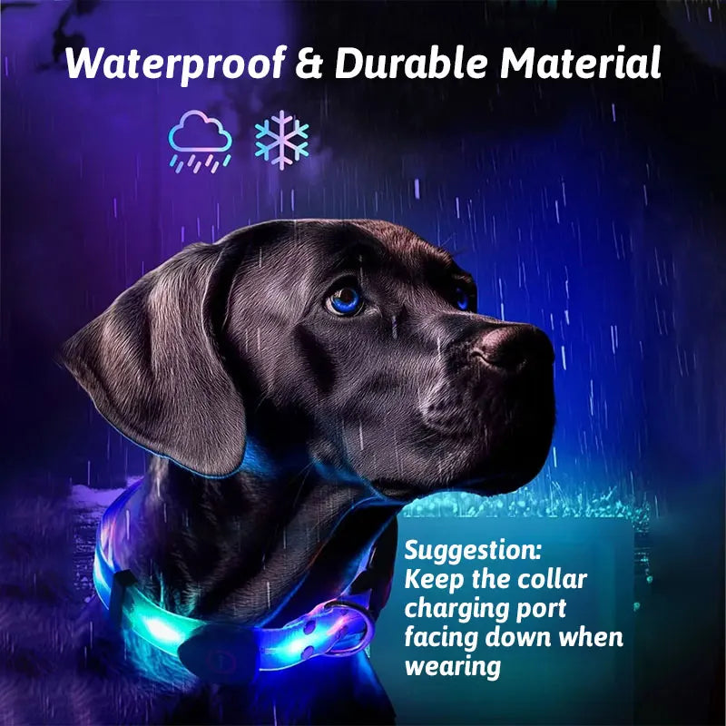 LED Light Up Dog Collar and Leash Walking Safety Glow in The Dark, Three Lighting Modes, USB Rechargeable Dog Colorful LED Leash