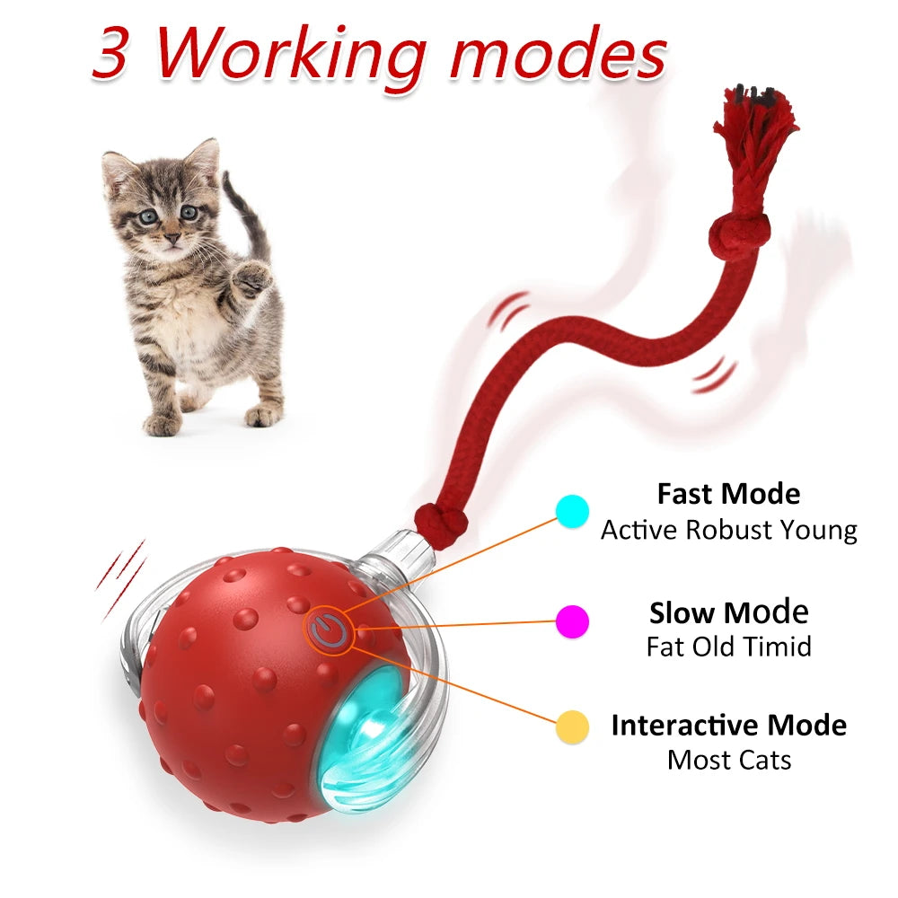 Interactive Cat Toy Ball with Bird Chirping Super Drive Cat Rolling Balls Motion Activated Sensor Pet Kittens Teaser Game Toys