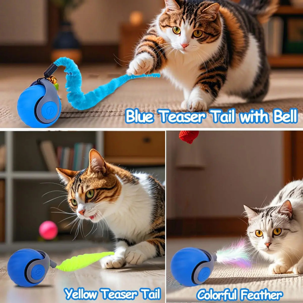 Interactive Cat Toy Ball, Speedy Tail 2.0 Cat Toy, Automatic Moving Cat Toys for Indoor Cats, with Feather Tails, Keep Them Busy