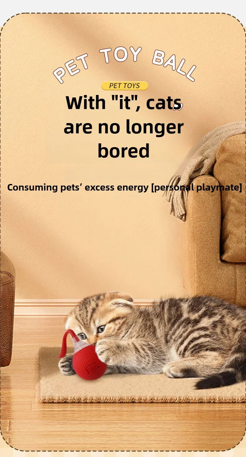Interactive Rolling Cat Ball Dog Toy Rolling Ball for Indoor 360° Automatic Rolling Pet Ball Self RollingBall Pet Supplies