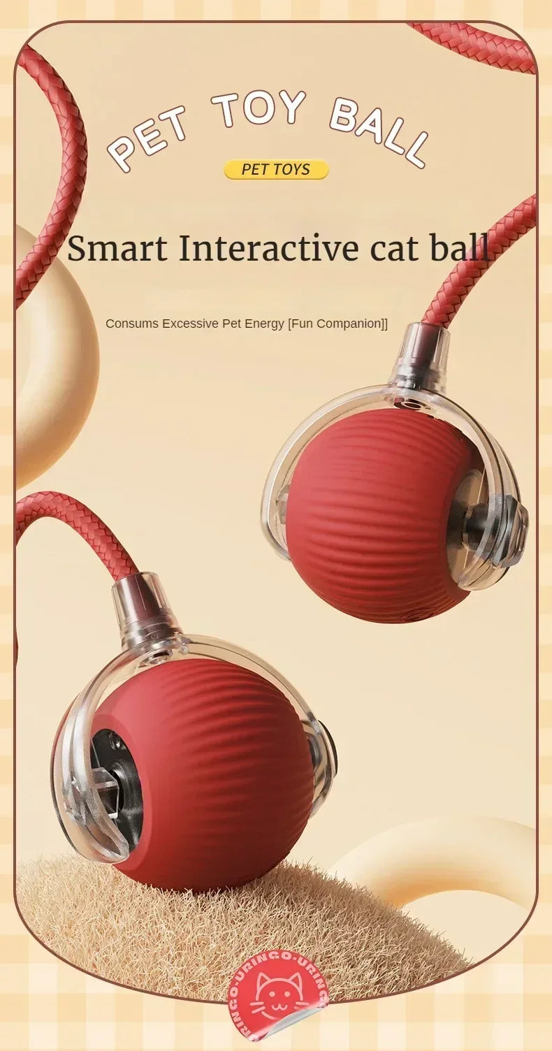 Interactive Rolling Cat Ball Dog Toy Rolling Ball for Indoor 360° Automatic Rolling Pet Ball Self RollingBall Pet Supplies