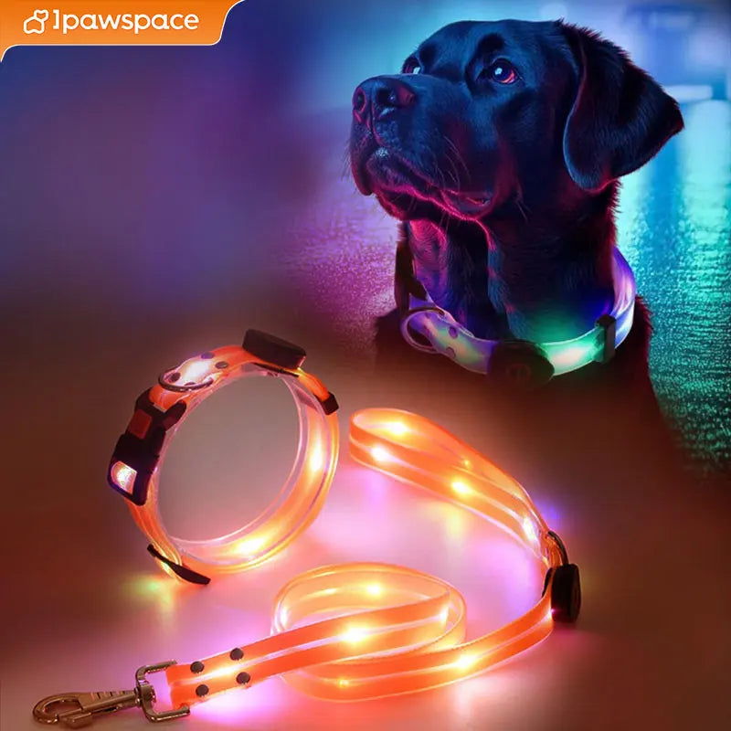 LED Light Up Dog Collar and Leash Walking Safety Glow in The Dark, Three Lighting Modes, USB Rechargeable Dog Colorful LED Leash