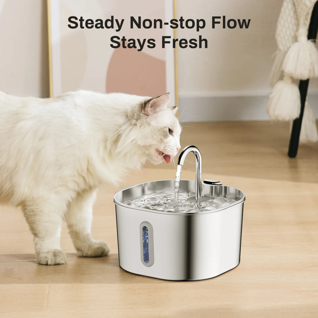 ZYFeeder 2.2L Automatic Cat Water Fountain Square Stainless Steel Pet Water Feeder Dog Water Fountain with window（No 5V 1A Plug）