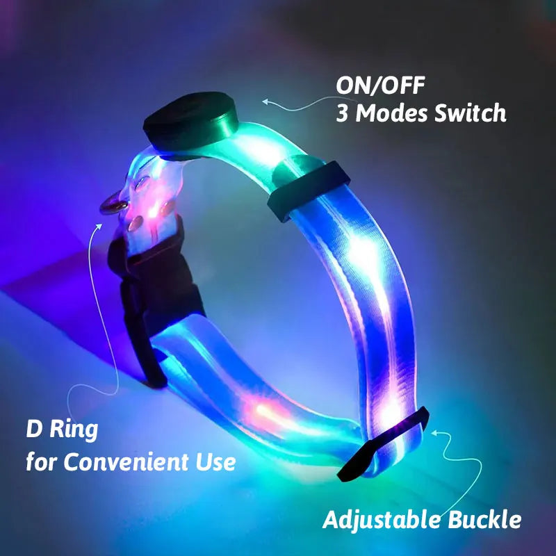 LED Light Up Dog Collar and Leash Walking Safety Glow in The Dark, Three Lighting Modes, USB Rechargeable Dog Colorful LED Leash