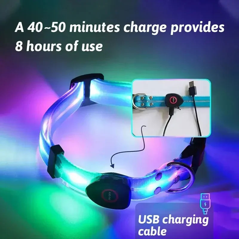 LED Light Up Dog Collar and Leash Walking Safety Glow in The Dark, Three Lighting Modes, USB Rechargeable Dog Colorful LED Leash