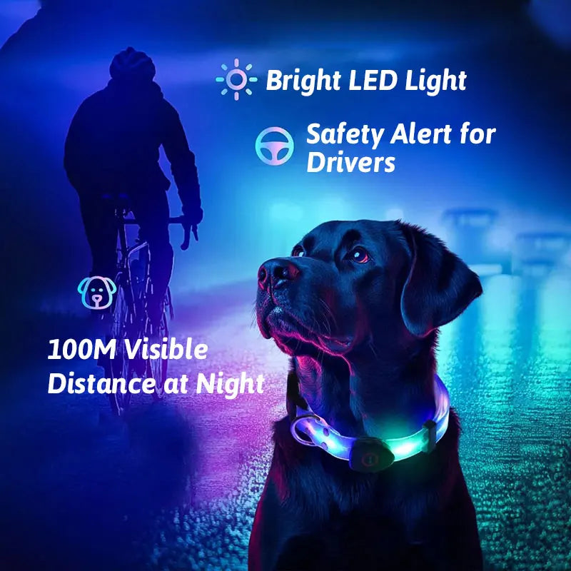 LED Light Up Dog Collar and Leash Walking Safety Glow in The Dark, Three Lighting Modes, USB Rechargeable Dog Colorful LED Leash