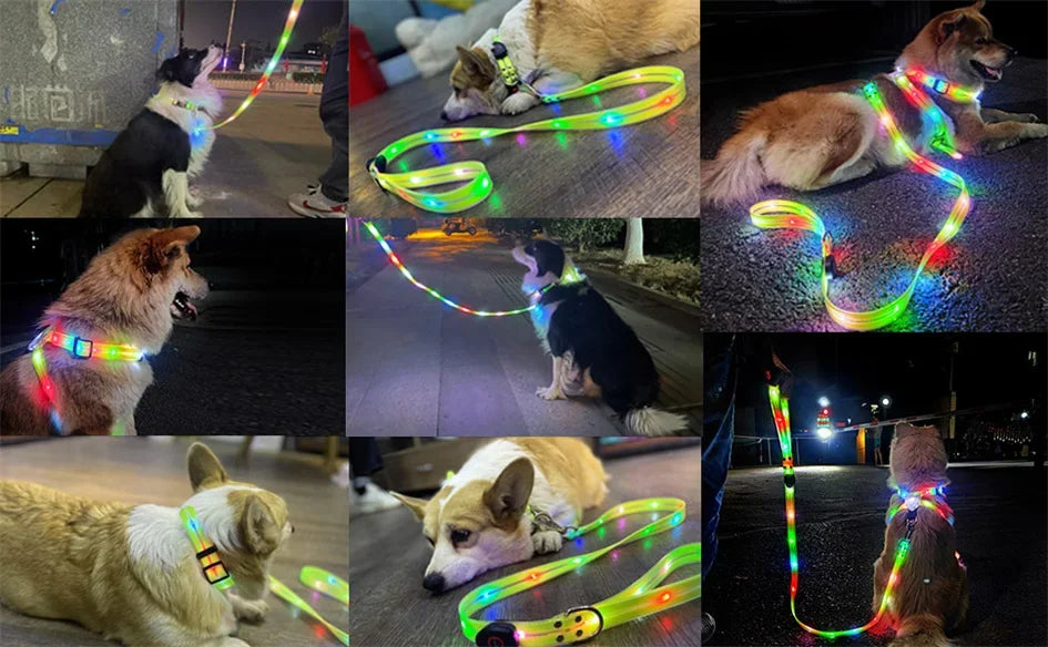 LED Light Up Dog Collar and Leash Walking Safety Glow in The Dark, Three Lighting Modes, USB Rechargeable Dog Colorful LED Leash